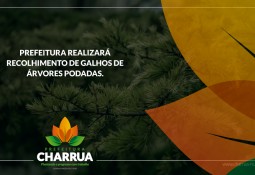 Prefeitura de Charrua realizará recolhimento de galhos de árvores podadas
