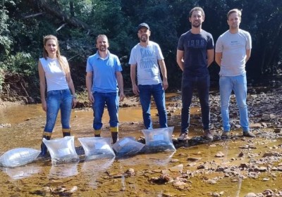 Soltura de 9.000 alevinos reforça preservação dos rios e equilíbrio dos ecossistemas